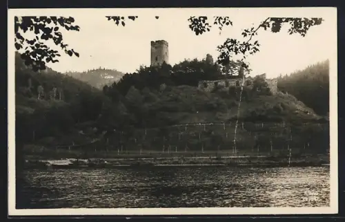 AK Liebstejn, Hrad