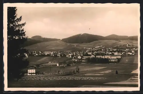 AK Kdyne /Sumava, Panorama