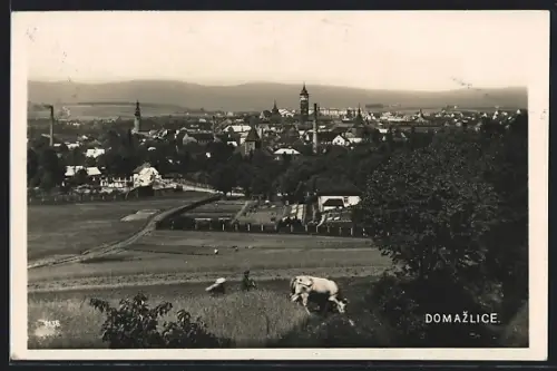 AK Domazlice, Panorama mit Kuh