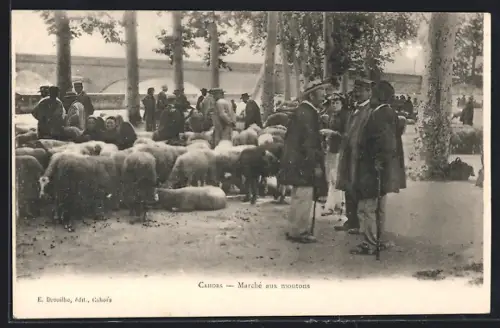AK Cahors, Marché aux moutons