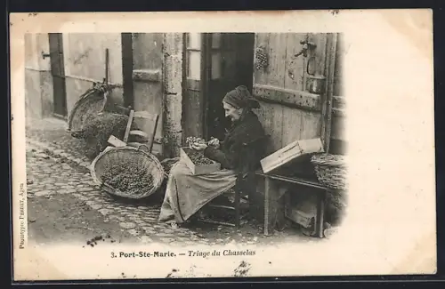 AK Port-Ste-Marie, Triage du Chasselas