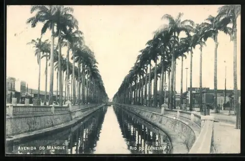 AK Rio de Janeiro, Avenida do Mangue