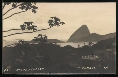 AK Rio de Janeiro, Panorama