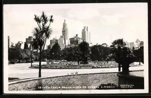 AK Sao Paulo, Vista do Parque D. Pedro II.