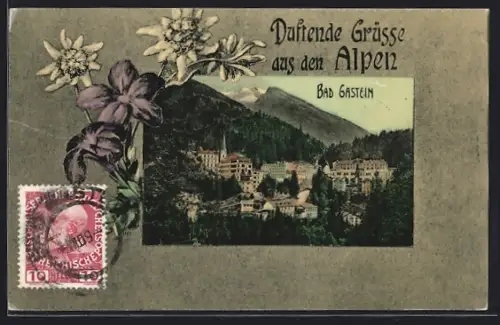 AK Bad Gastein, Teilansicht mit den Alpen, Edelweiss, Passepartout