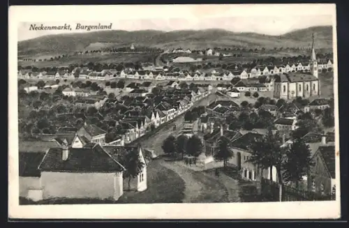 Künstler-AK Neckenmarkt /Burgenland, Strassenpartie mit Kirche