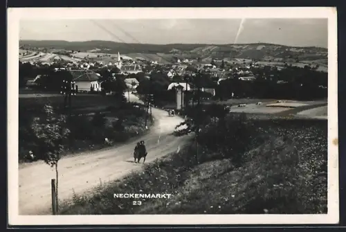 AK Neckenmarkt, Teilansicht mit Strassenpartie