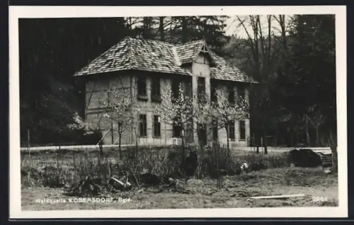 AK Kobersdorf /Bgld., Waldquelle