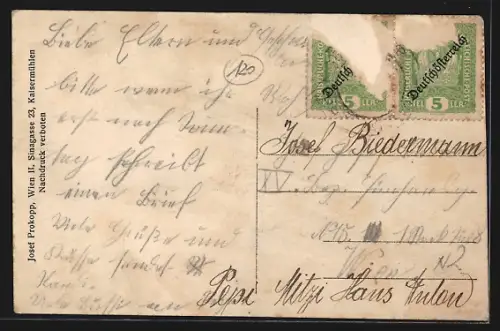 AK Trumau, Teilansicht