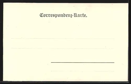 AK Traunkirchen, Panorama mit Strassenpartie