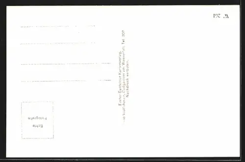 AK Badgastein, Teilansicht mit Strassenpartie