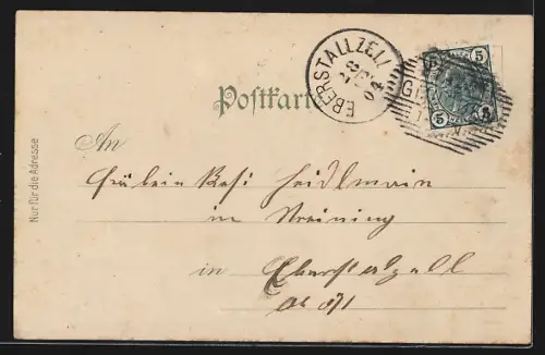 Lithographie Gallspach, Schloss, Stadtpanorama