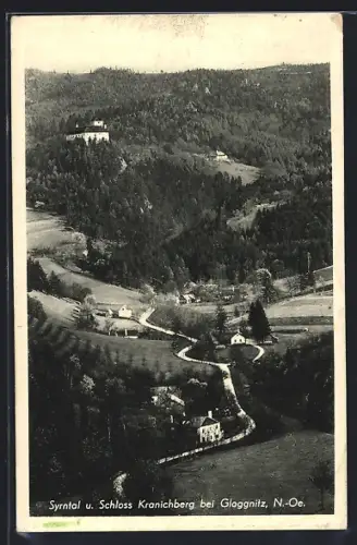 AK Gloggnitz /N.-Oe., Syrntal und Schloss Kranichberg
