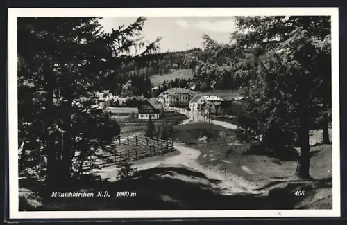 AK Mönichkirchen /N. D., Ortsansicht mit Hotel Lang