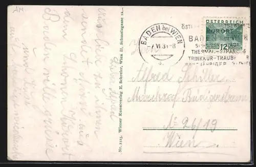 AK Baden bei Wien, Andreas Hofer-Zeile, Doblhoffpark, Hochstrasse, Thermal-Strandbad