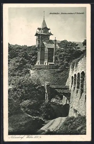 AK Wien, Nussdorf, Restaurant Bockkeller F. Schmidt