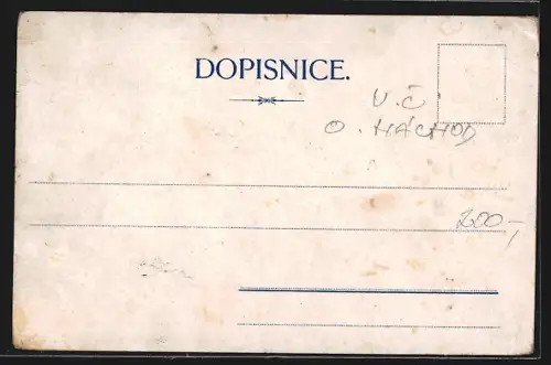 Lithographie Nove Mesto n. M.-Rezek, Pohled z Rezku k mestu, rezek, Vily, Lázne a Hostinec