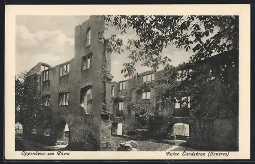 AK Oppenheim am Rhein, Ruine Landskron, Inneres