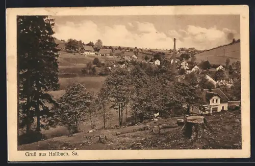 AK Hallbach /Sa., Ortsansicht aus der Vogelschau