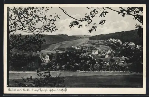 AK Stecklenberg /Harz, Gesamtansicht