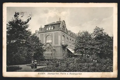 AK Essen, Stadtgarten, Partie am Rosengarten