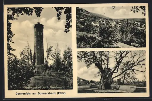 AK Dannenfels am Donnersberg, Ludwigsturm, Teilansicht, Kastanienbaum