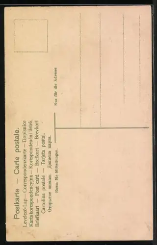 AK Schweiz, Kinder in Berner Tracht, Costume Bernois