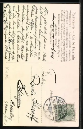 Künstler-AK sign. E. H. Clapsaddle: Holländerin mit kleinem Jungen an der Hand