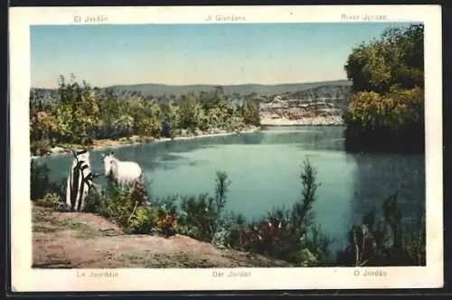 AK Jordan, Panorama