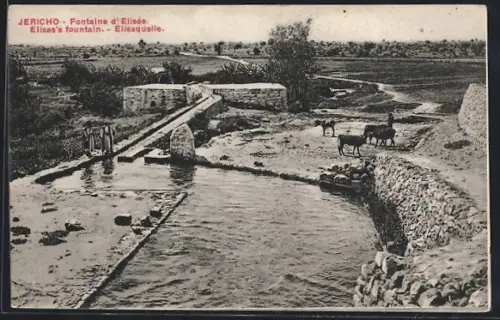 AK Jericho, Fontaine d`Elisée