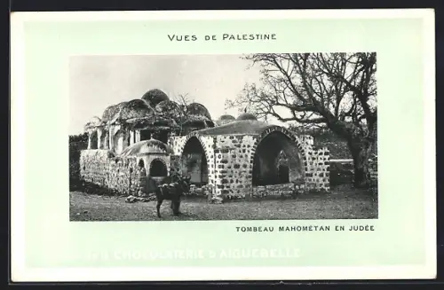 AK Palestine, Tombeau Mahométan en Judée