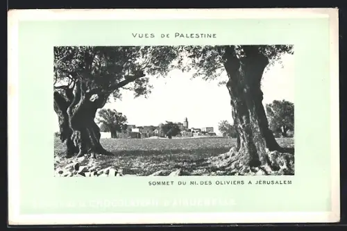 AK Jerusalem, Sommet du Mt. des Oliviers