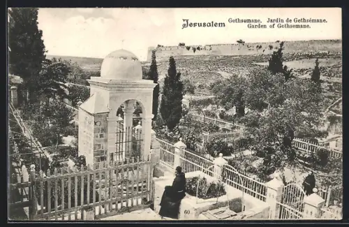 AK Jerusalem, Jardin de Gethsémane