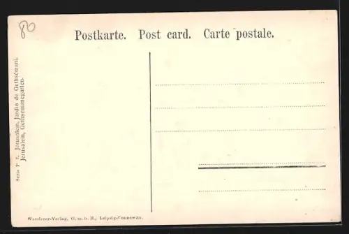 AK Jerusalem, Olivenbäume im Gethsemanegarten