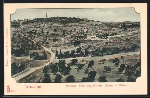 AK Jerusalem, Oelberg, Panorama