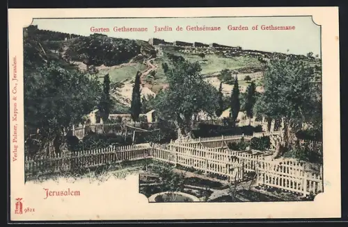AK Jerusalem, Garten Gethsemane