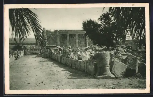 AK Capernaum, Ruinen unter Palmen