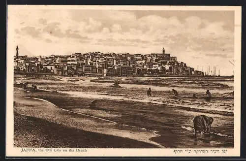 AK Jaffa, The Old City on the Beach