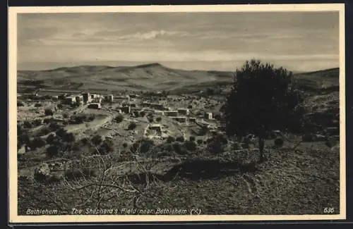 AK Bethlehem, Das Hirtenfeld bei Bethlehem