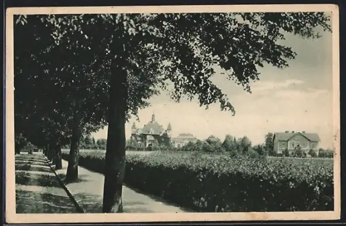 AK Borohrádek, Velká vila a sanatorium