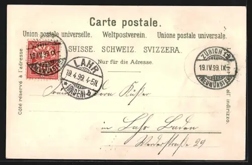 Lithographie Zürich, Totalansicht aus der Vogelschau und Teilansicht am See