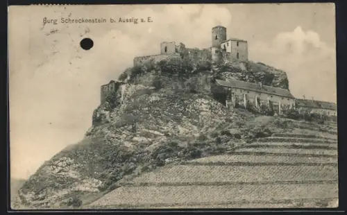 AK Schreckenstein, Burg mit Weinberg