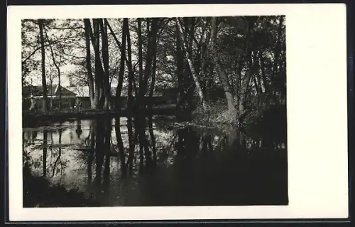 AK Tornalja, Parkrészlet