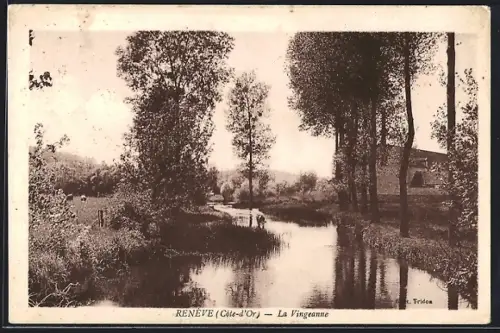 AK Reneve, La Vingeanne