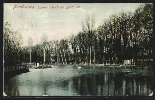 AK Nordhausen, Schwanenteich im Stadtpark