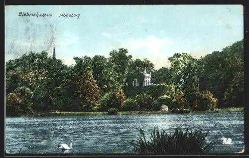 AK Biebrich /Rhein, Blick zur Moosburg
