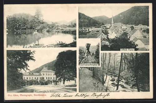 AK Nordhausen, Restaurant Zur Tanne, Klosterschule, Bärenthal