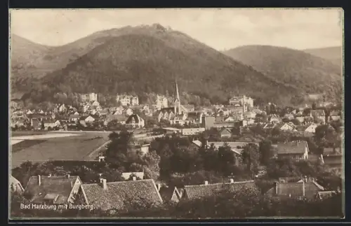 AK Bad Harzburg, Ortspartie mit Burgberg