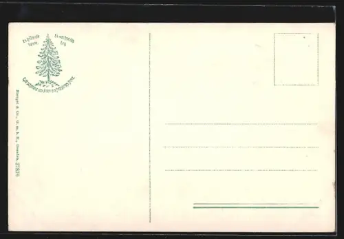 AK Ilsenburg /Harz, Totalansicht aus der Vogelschau