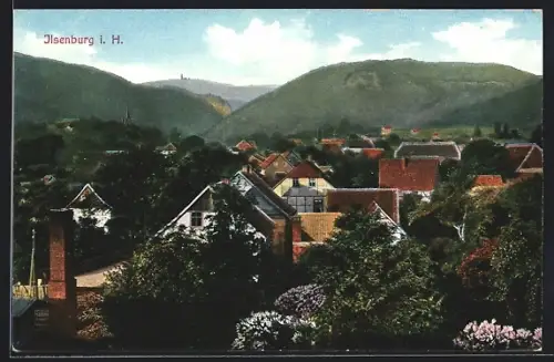 AK Ilsenburg / Harz, Gesamtansicht